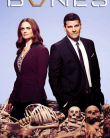 Bones Bones