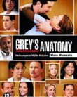 Grey's Anatomy Grey's Anatomy