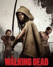 The Walking Dead The Walking Dead