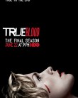 True Blood True Blood